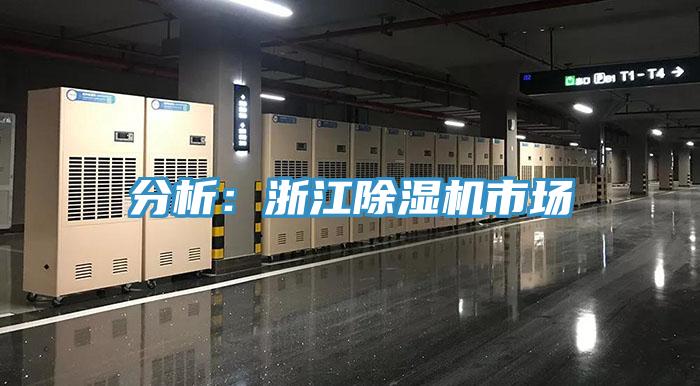 分析：浙江91免费网站在线观看市场
