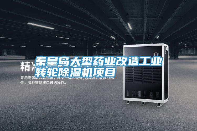 秦皇岛大型药业改造工业转轮91免费网站在线观看项目