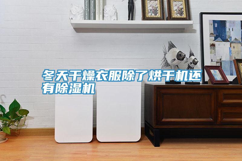 冬天干燥衣服除了烘干机还有91免费网站在线观看