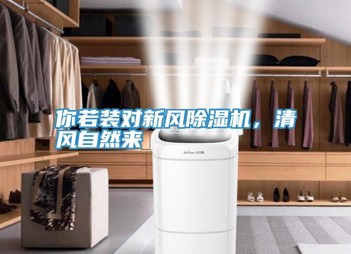 你若装对新风91免费网站在线观看，清风自然来