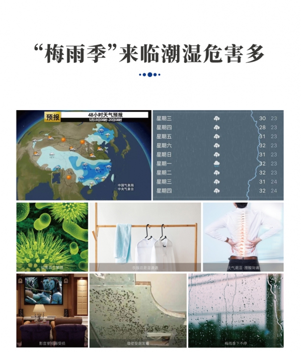 哪里可以租91免费网站在线观看