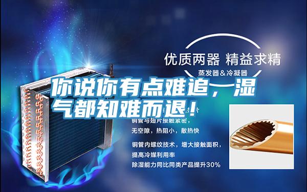 你说你有点难追，湿气都知难而退！