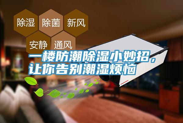 一楼防潮除湿小妙招，让你告别潮湿烦恼
