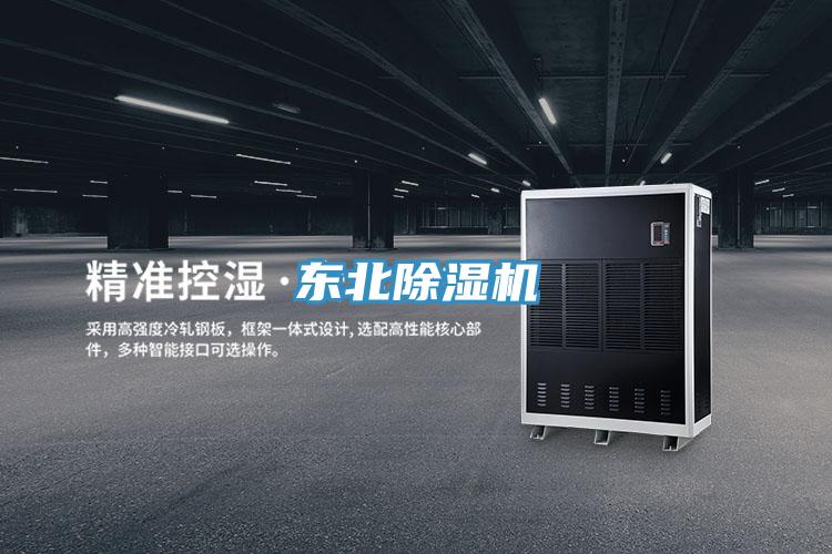 东北91免费网站在线观看