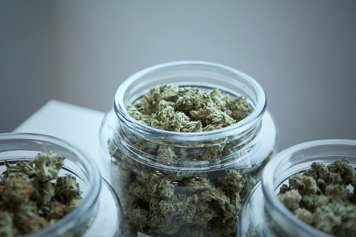 如何让中草药烘干过程“药性”不流失？