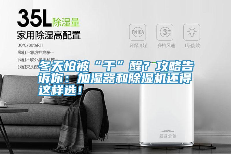 冬天怕被“干”醒？攻略告诉你：加湿器和91免费网站在线观看还得这样选！
