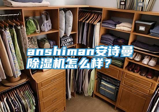 anshiman91免费看黄片91免费网站在线观看怎么样？