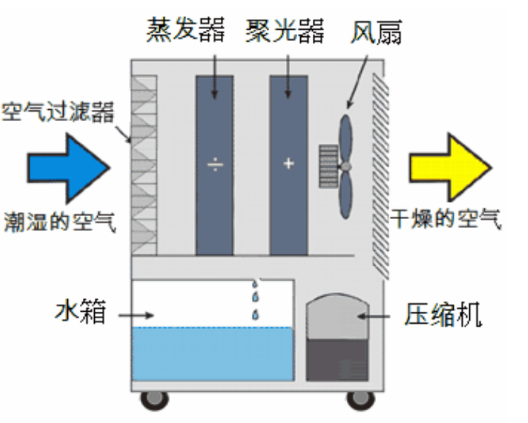 转轮91免费网站在线观看启动不正常的原因