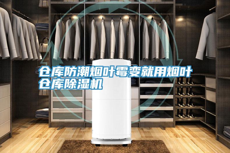 仓库防潮烟叶霉变就用烟叶仓库91免费网站在线观看