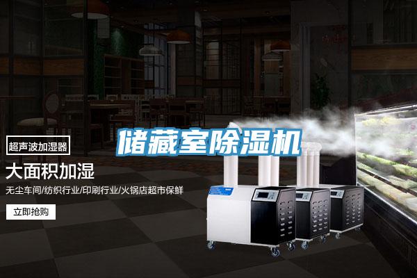 储藏室91免费网站在线观看
