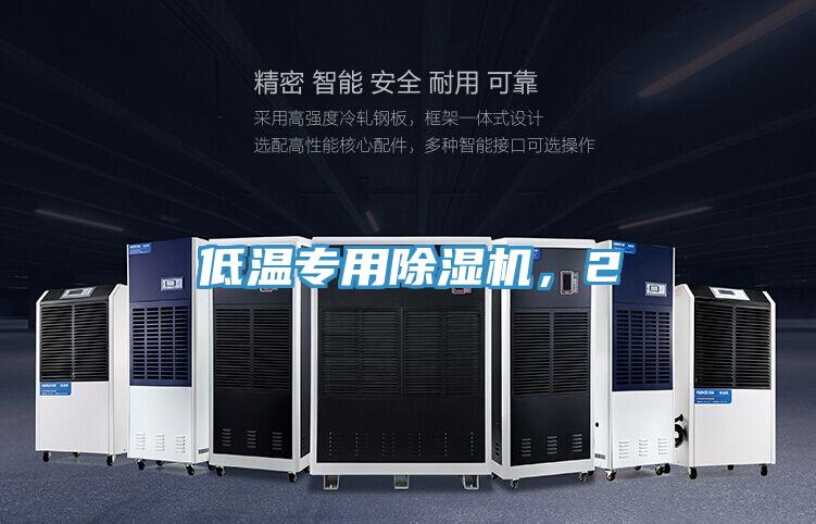 低温专用91免费网站在线观看，2