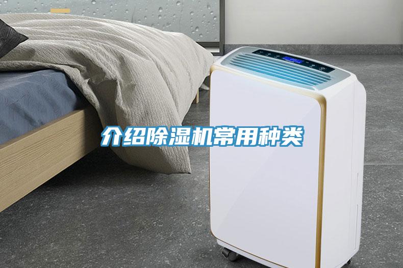 介绍91免费网站在线观看常用种类