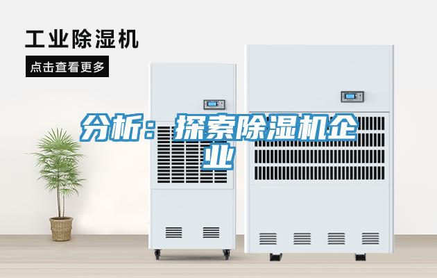 分析：探索91免费网站在线观看企业