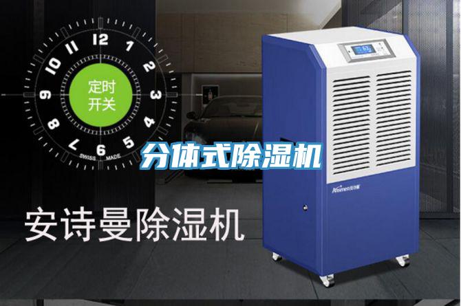 分体式91免费网站在线观看
