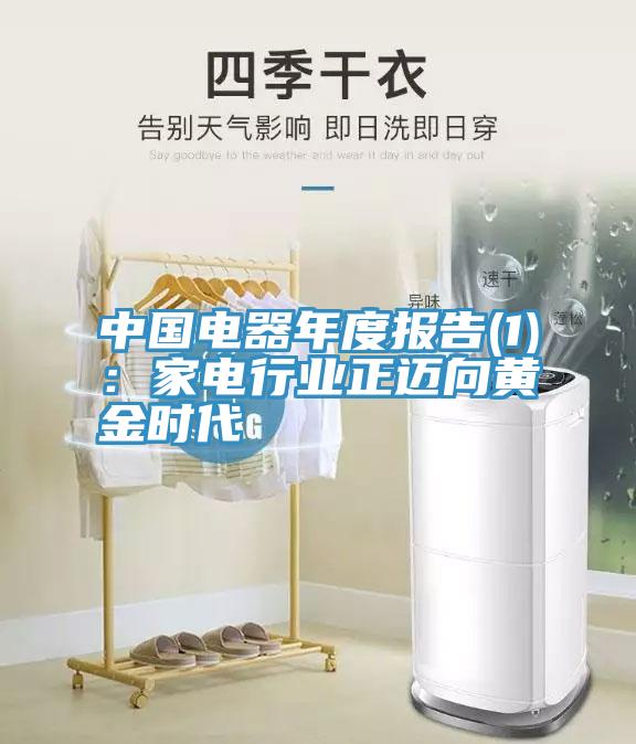 中国电器年度报告(1)：家电行业正迈向黄金时代