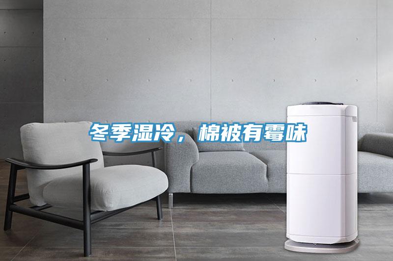 冬季湿冷，棉被有霉味