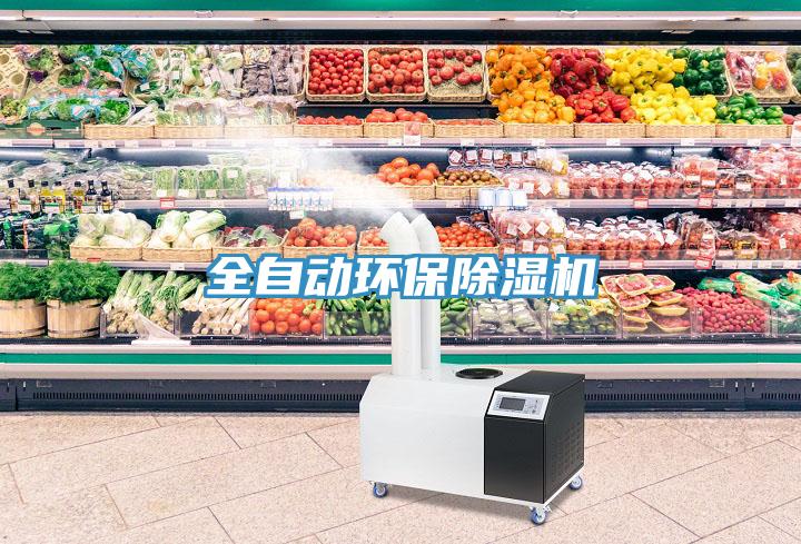 全自动环保91免费网站在线观看