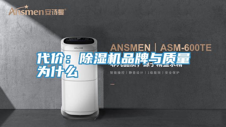 代价：91免费网站在线观看品牌与质量为什么