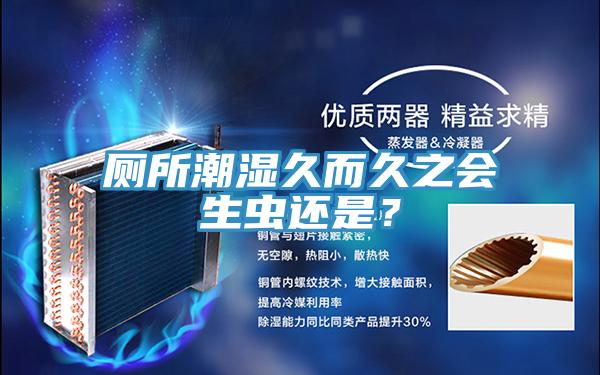 厕所潮湿久而久之会生虫还是？