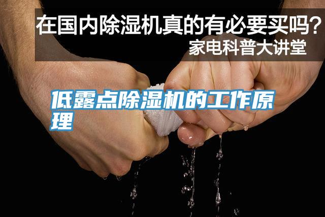 低露点91免费网站在线观看的工作原理