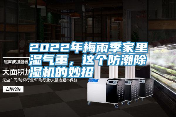 2022年梅雨季家里湿气重，这个防潮91免费网站在线观看的妙招