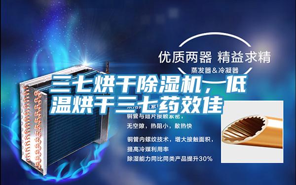 三七烘干91免费网站在线观看，低温烘干三七药效佳