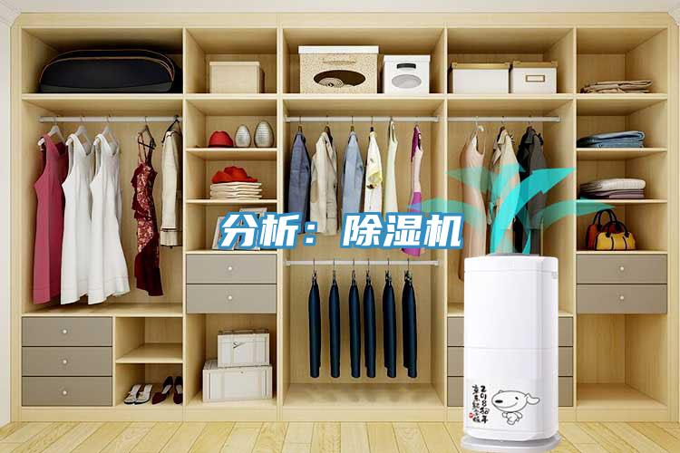 分析：91免费网站在线观看