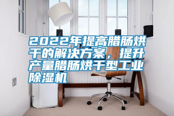 2022年提高腊肠烘干的解决方案，提升产量腊肠烘干型工业91免费网站在线观看