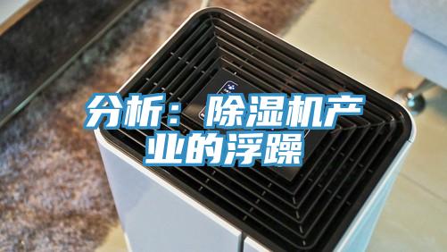 分析：91免费网站在线观看产业的浮躁