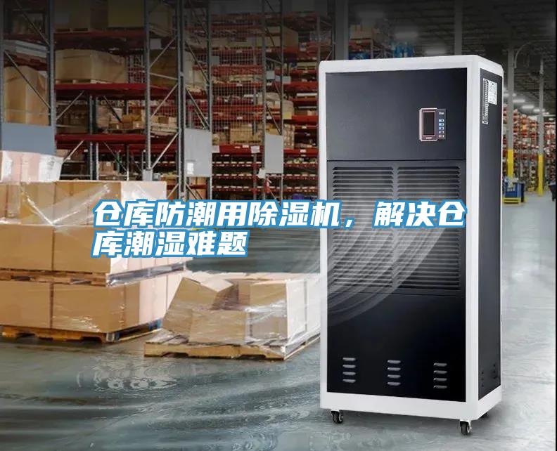 仓库防潮用91免费网站在线观看，解决仓库潮湿难题