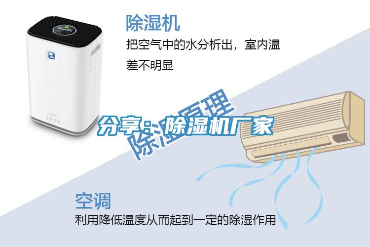 分享：91免费网站在线观看厂家