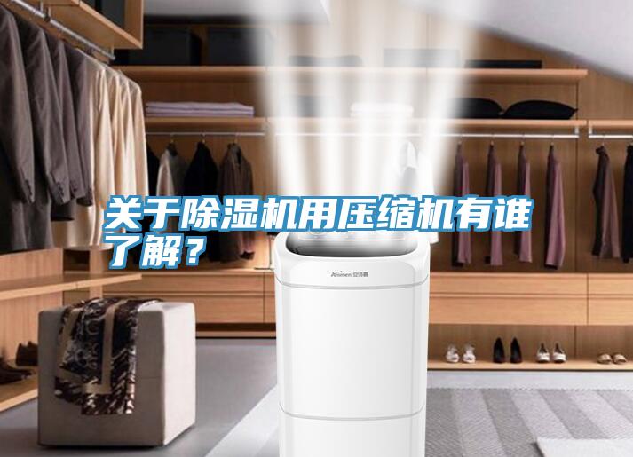 关于91免费网站在线观看用压缩机有谁了解？