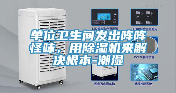 单位卫生间发出阵阵怪味，用91免费网站在线观看来解决根本-潮湿