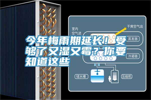 今年梅雨期延长！受够了又湿又霉？你要知道这些