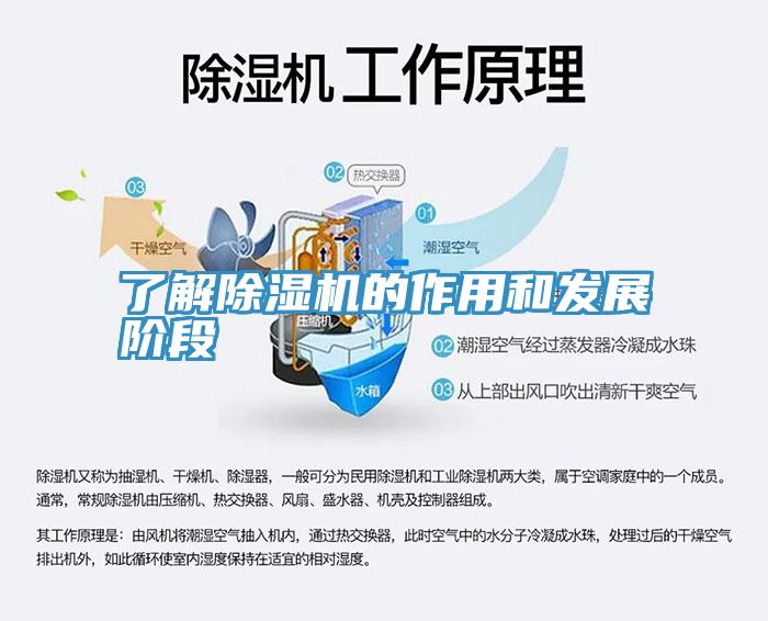 了解91免费网站在线观看的作用和发展阶段