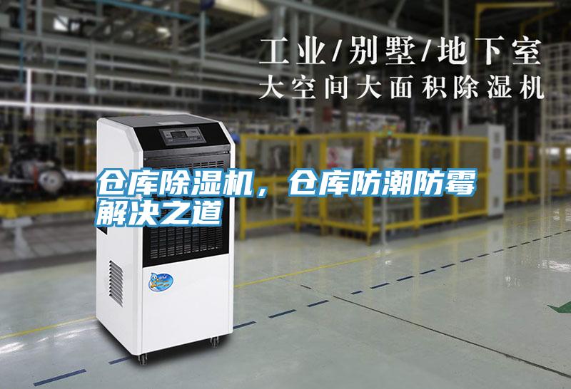 仓库91免费网站在线观看，仓库防潮防霉解决之道