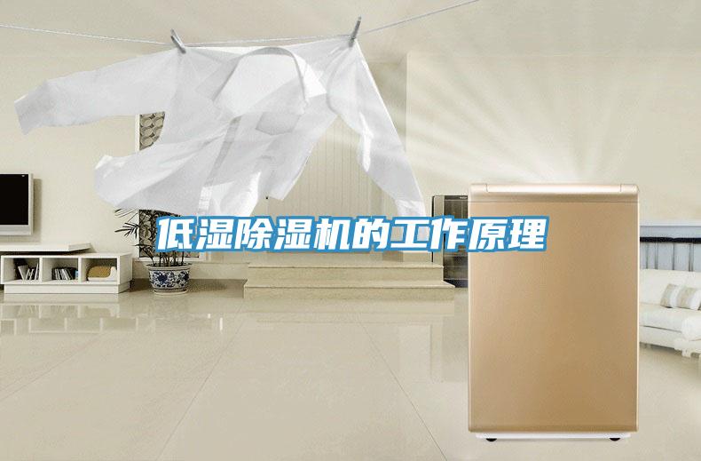 低湿91免费网站在线观看的工作原理