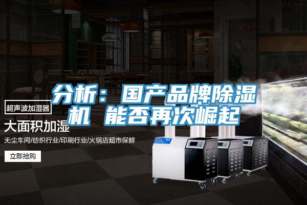 分析：国产品牌91免费网站在线观看 能否再次崛起