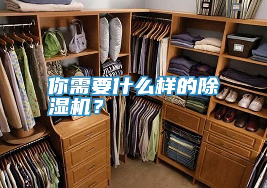 你需要什么样的91免费网站在线观看？