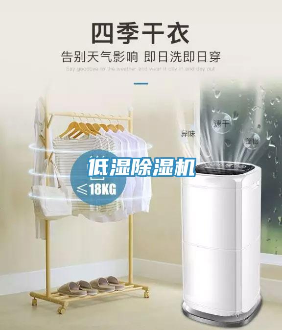 低湿91免费网站在线观看