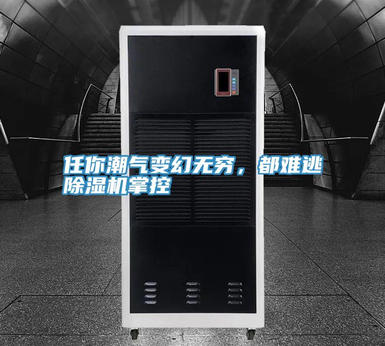 任你潮气变幻无穷，都难逃91免费网站在线观看掌控