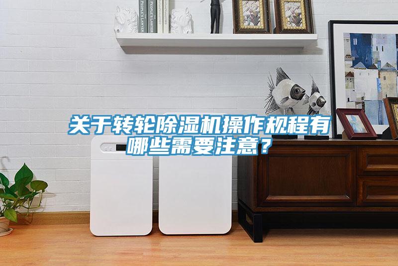 关于转轮91免费网站在线观看操作规程有哪些需要注意？