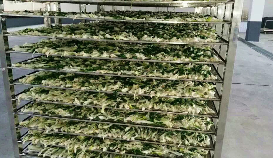 菜干需求一直都很大，蔬菜烘干机很有市场