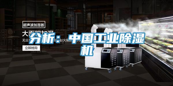 分析：中国工业91免费网站在线观看