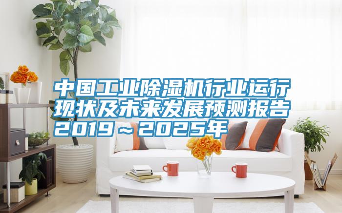 中国工业91免费网站在线观看行业运行现状及未来发展预测报告2019～2025年