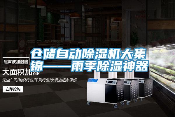仓储自动91免费网站在线观看大集锦——雨季除湿神器