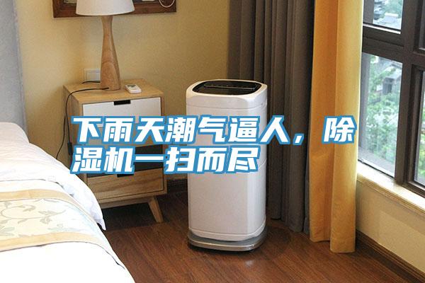 下雨天潮气逼人，91免费网站在线观看一扫而尽