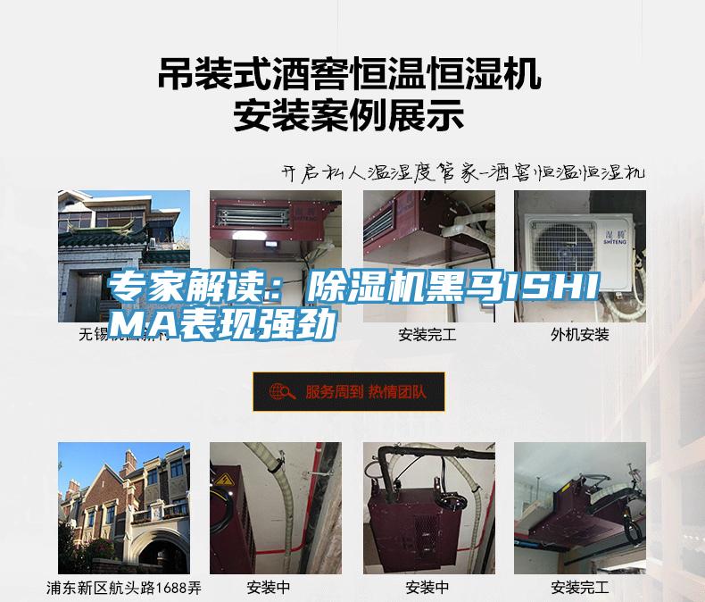 专家解读：91免费网站在线观看黑马ISHIMA表现强劲