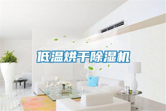 低温烘干91免费网站在线观看
