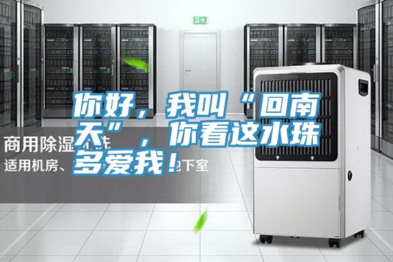 你好，我叫“回南天”，你看这水珠多爱我！
